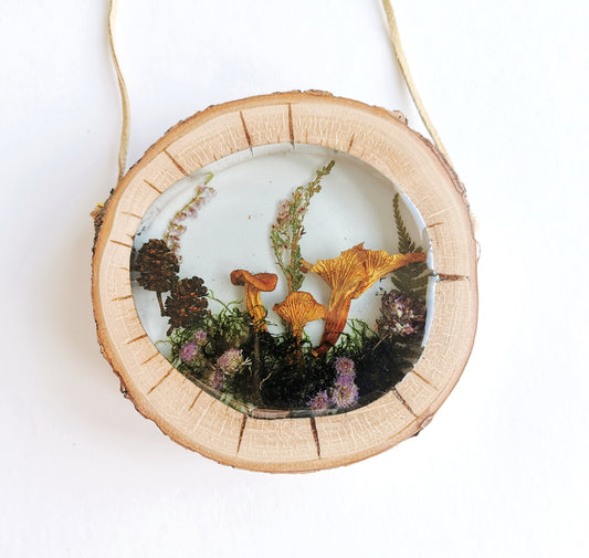 Dried mushroom in resin wooden frame