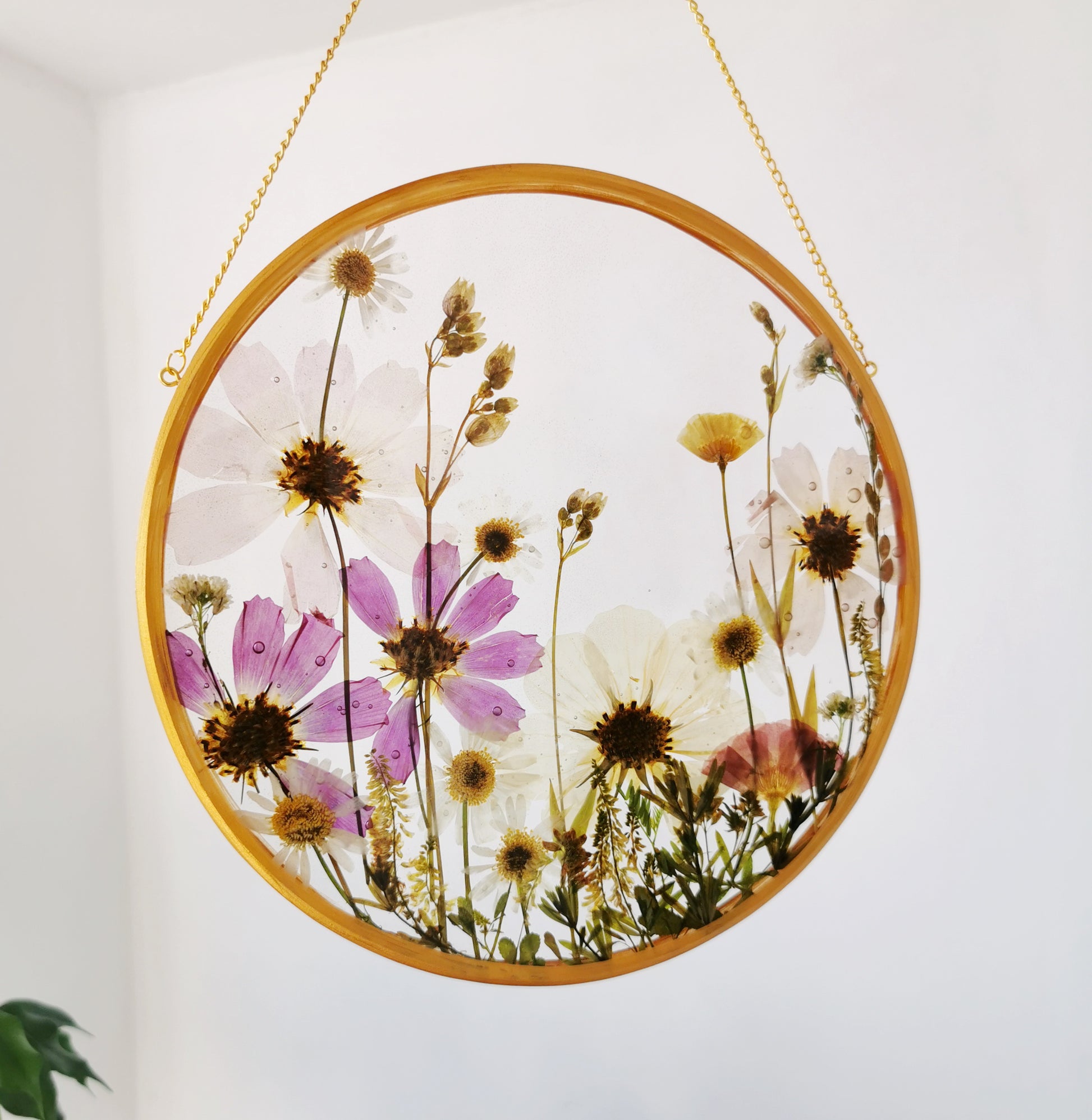 Dried flower frame, Resin round frame with pressed flower fr - Inspire  Uplift