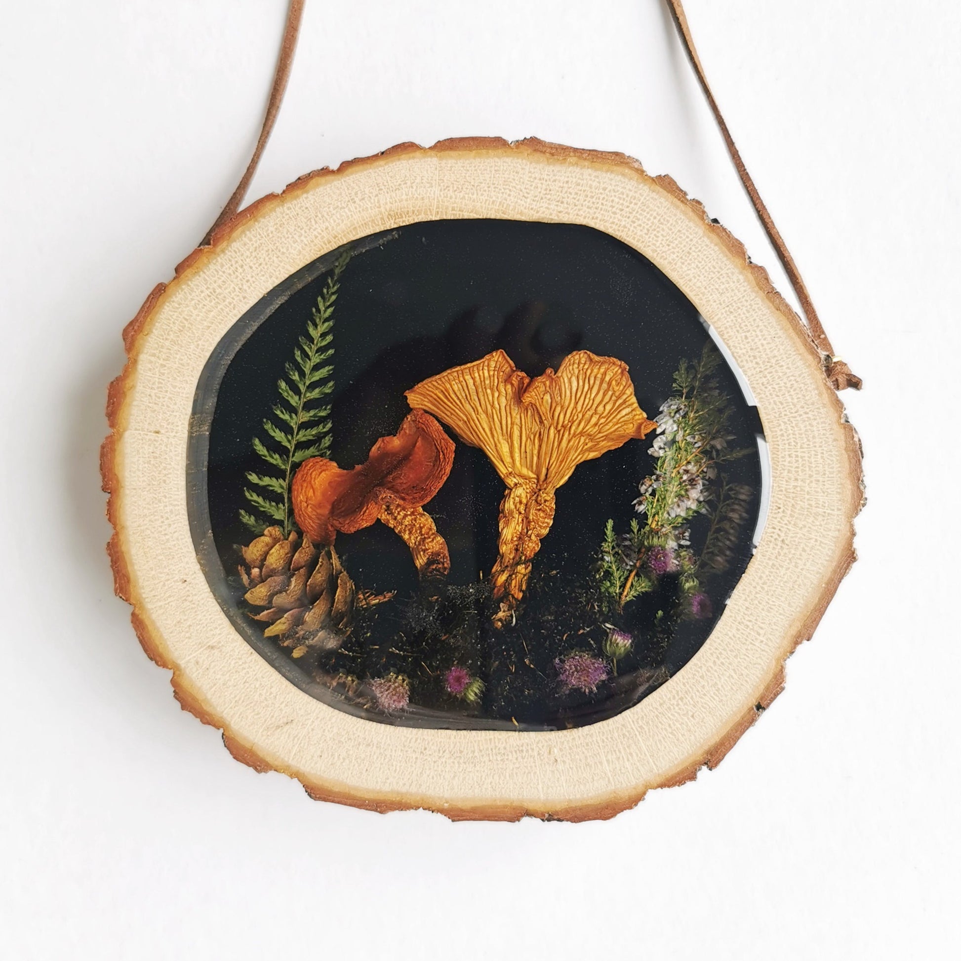 Mushroom wall decor preserved mushroom in resin wooden frame