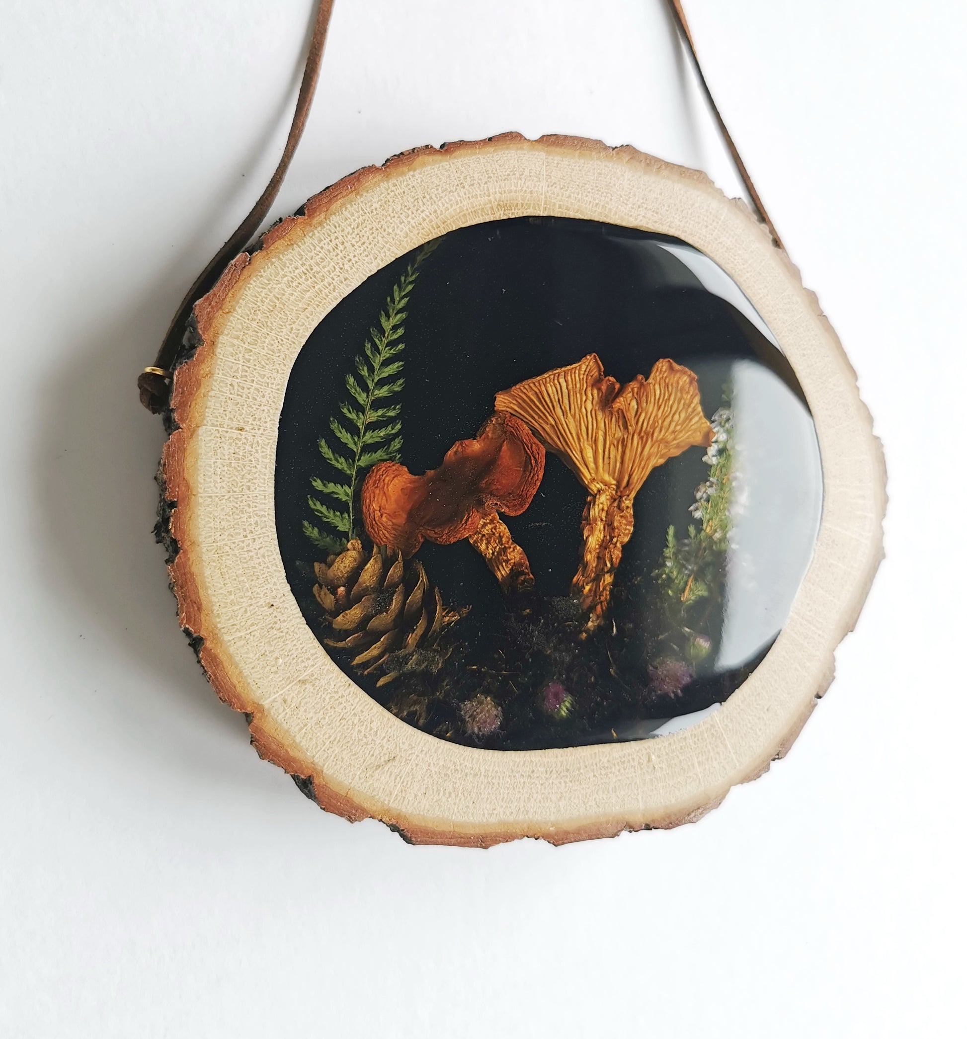 Mushroom wall decor preserved mushroom in resin wooden frame